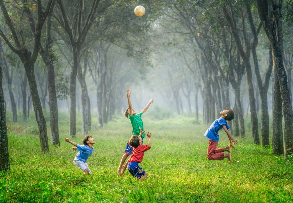 renewable energy indonesia AIS aki